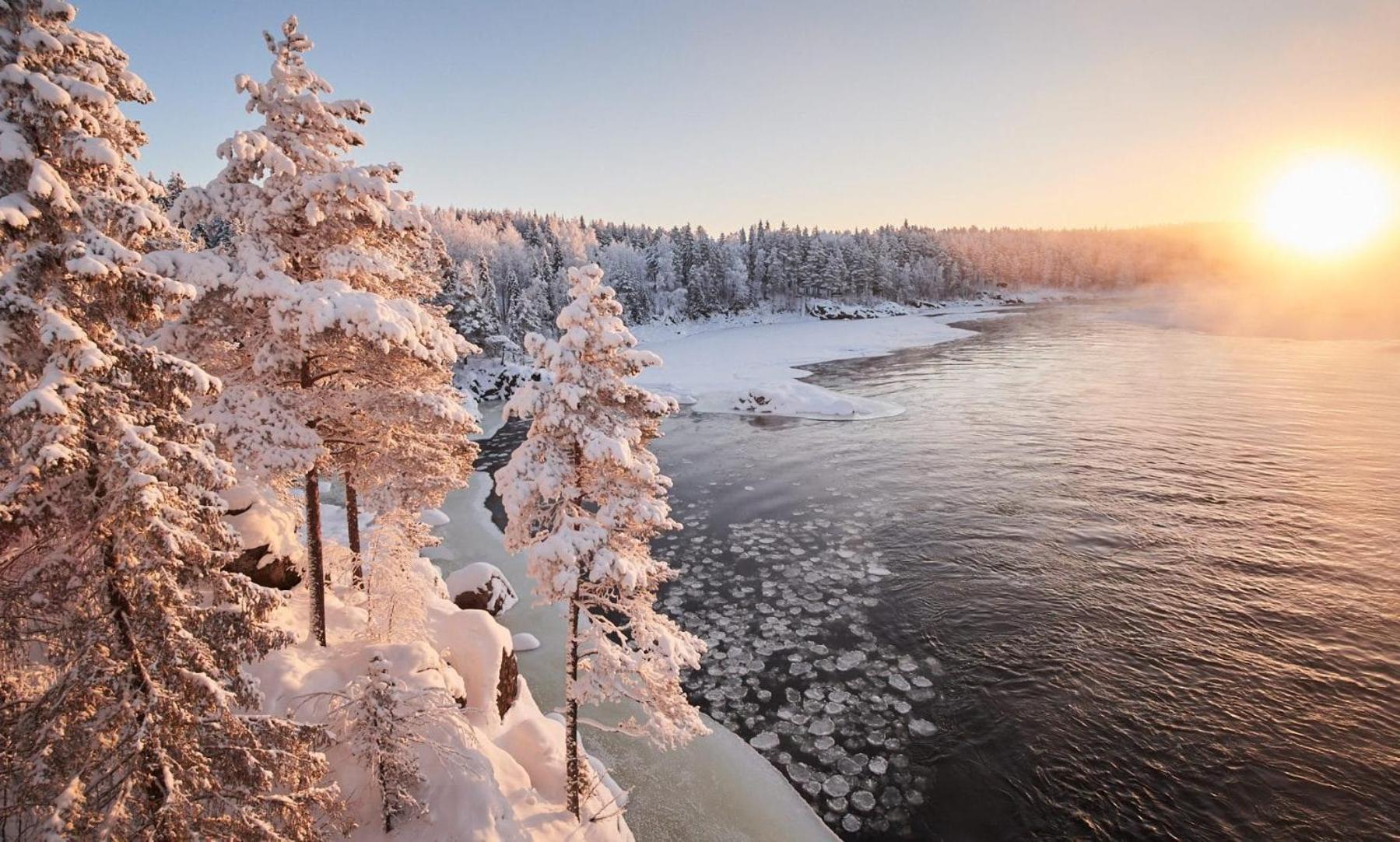 Skog Aurora Igloos Villa Kalix Luaran gambar