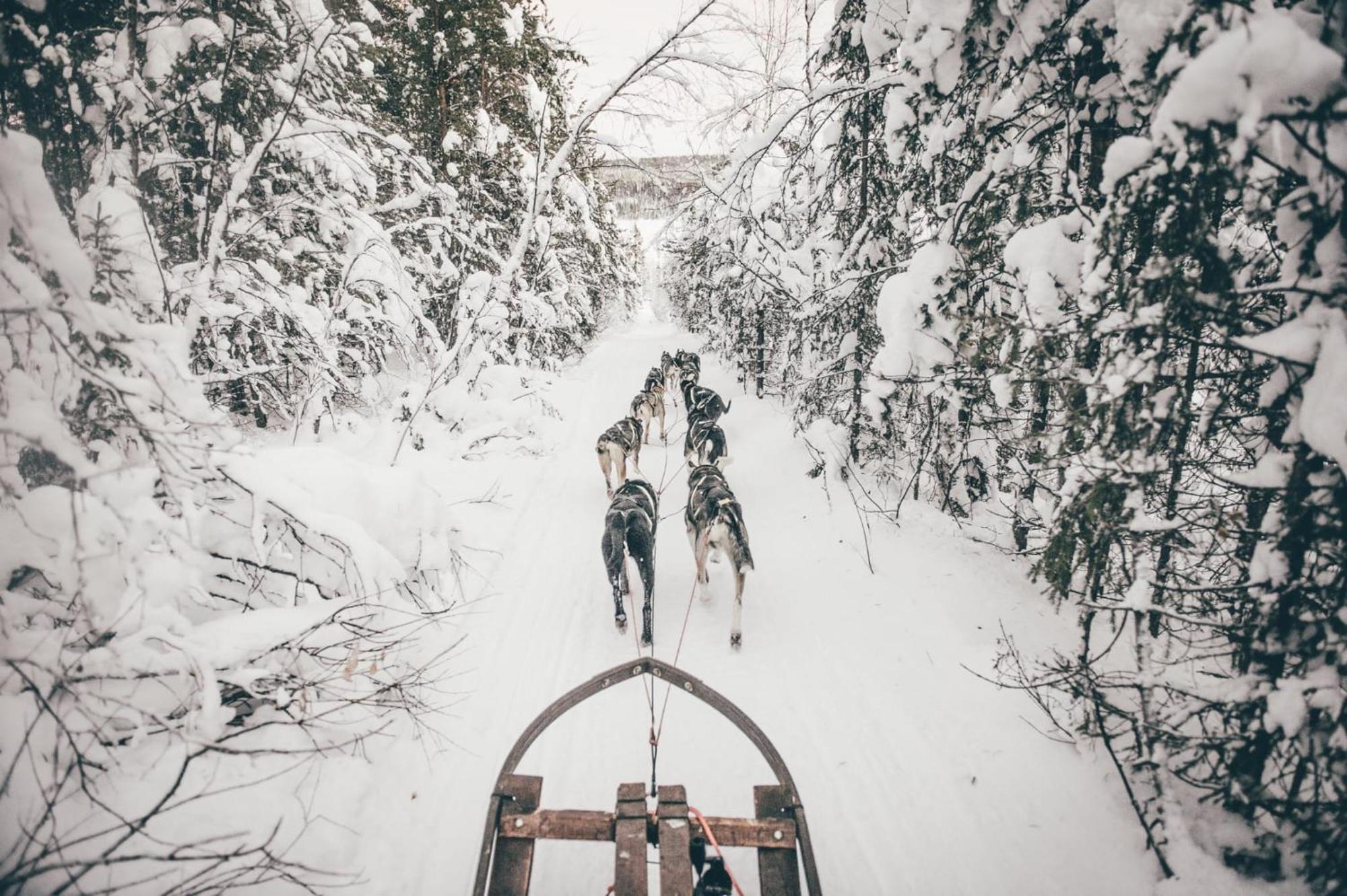 Skog Aurora Igloos Villa Kalix Luaran gambar
