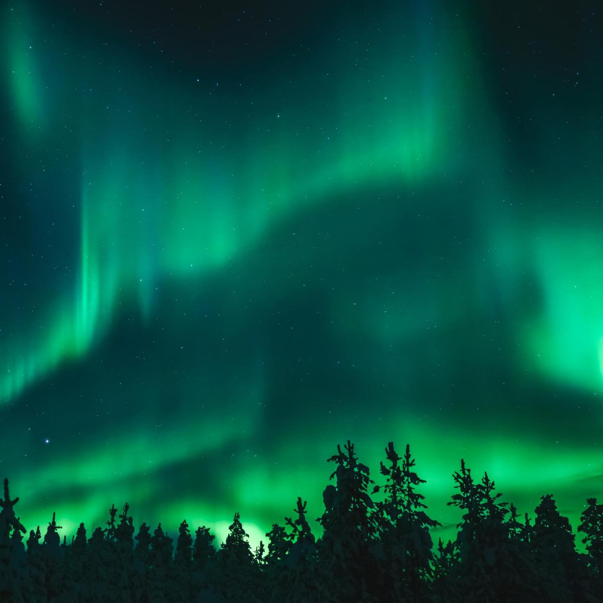 Skog Aurora Igloos Villa Kalix Luaran gambar