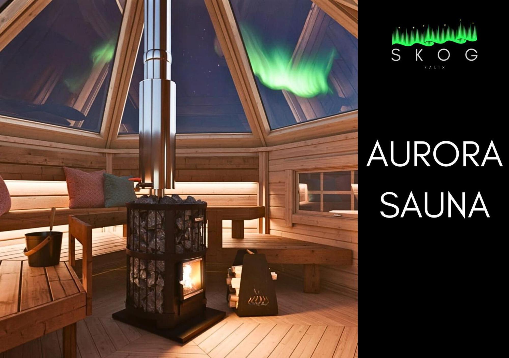 Skog Aurora Igloos Villa Kalix Luaran gambar
