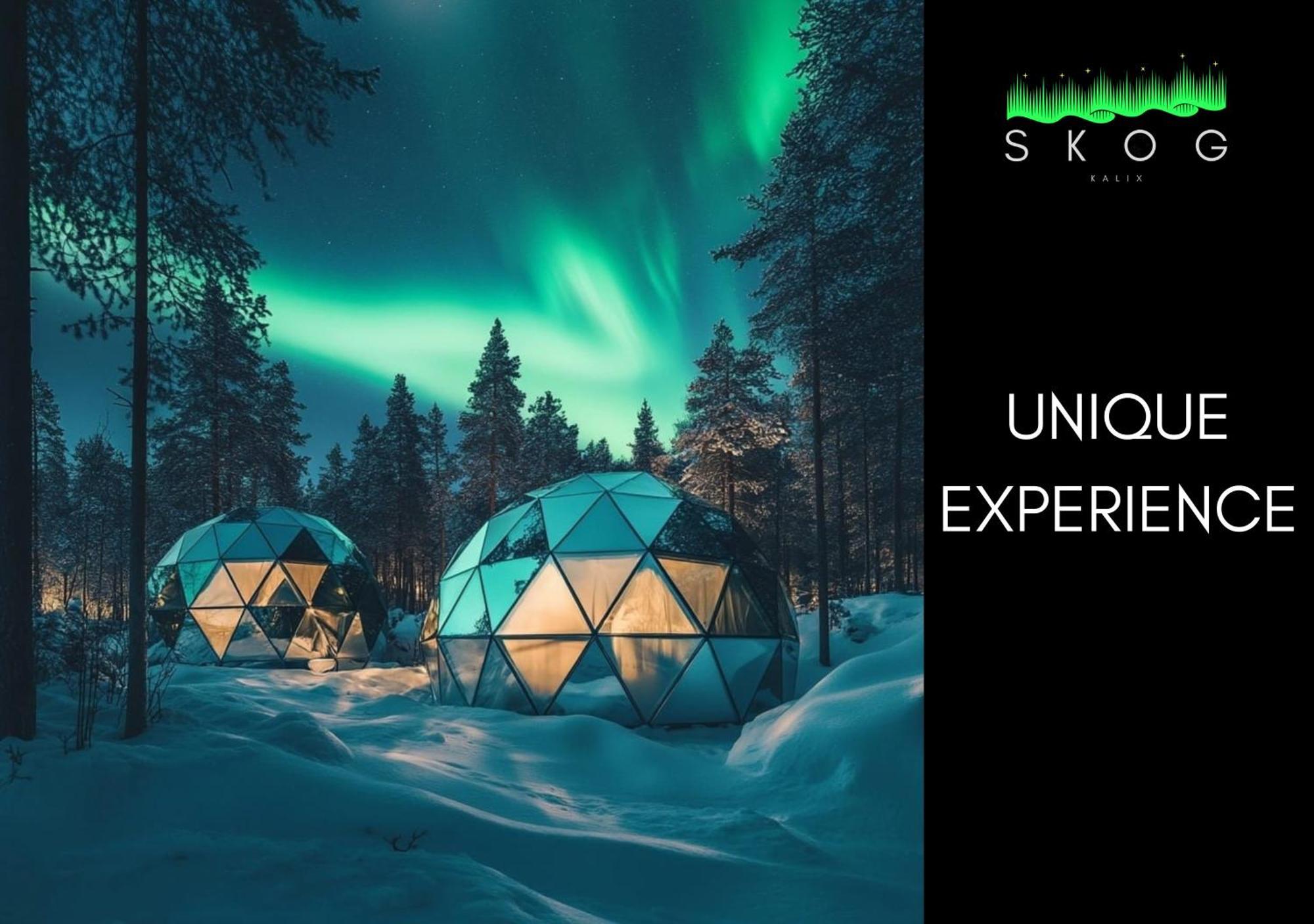 Skog Aurora Igloos Villa Kalix Luaran gambar