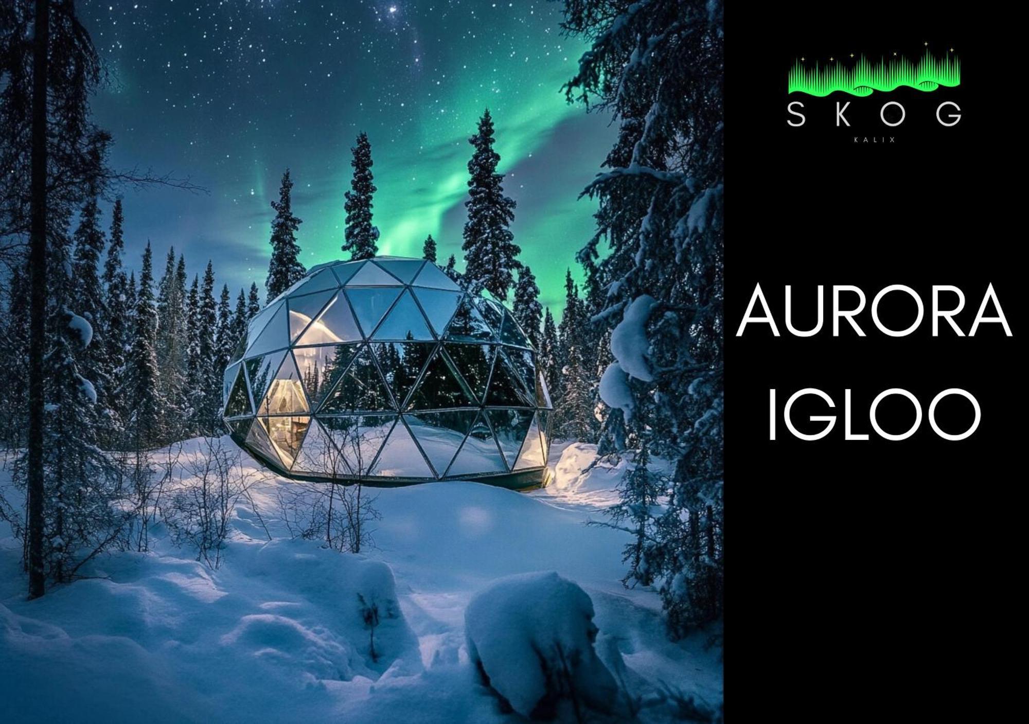 Skog Aurora Igloos Villa Kalix Luaran gambar