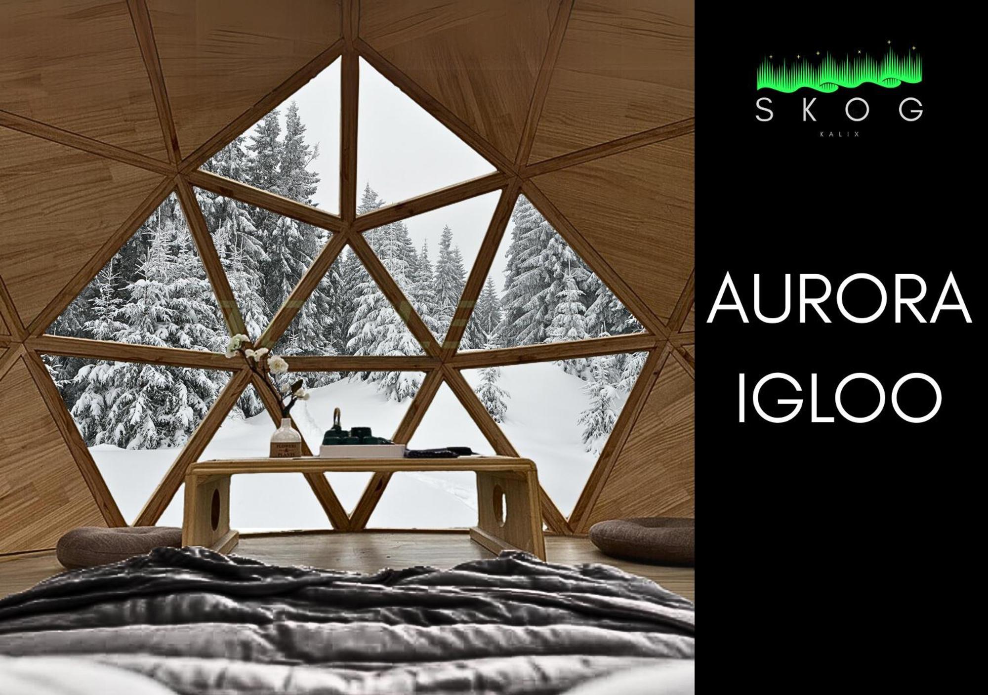 Skog Aurora Igloos Villa Kalix Luaran gambar