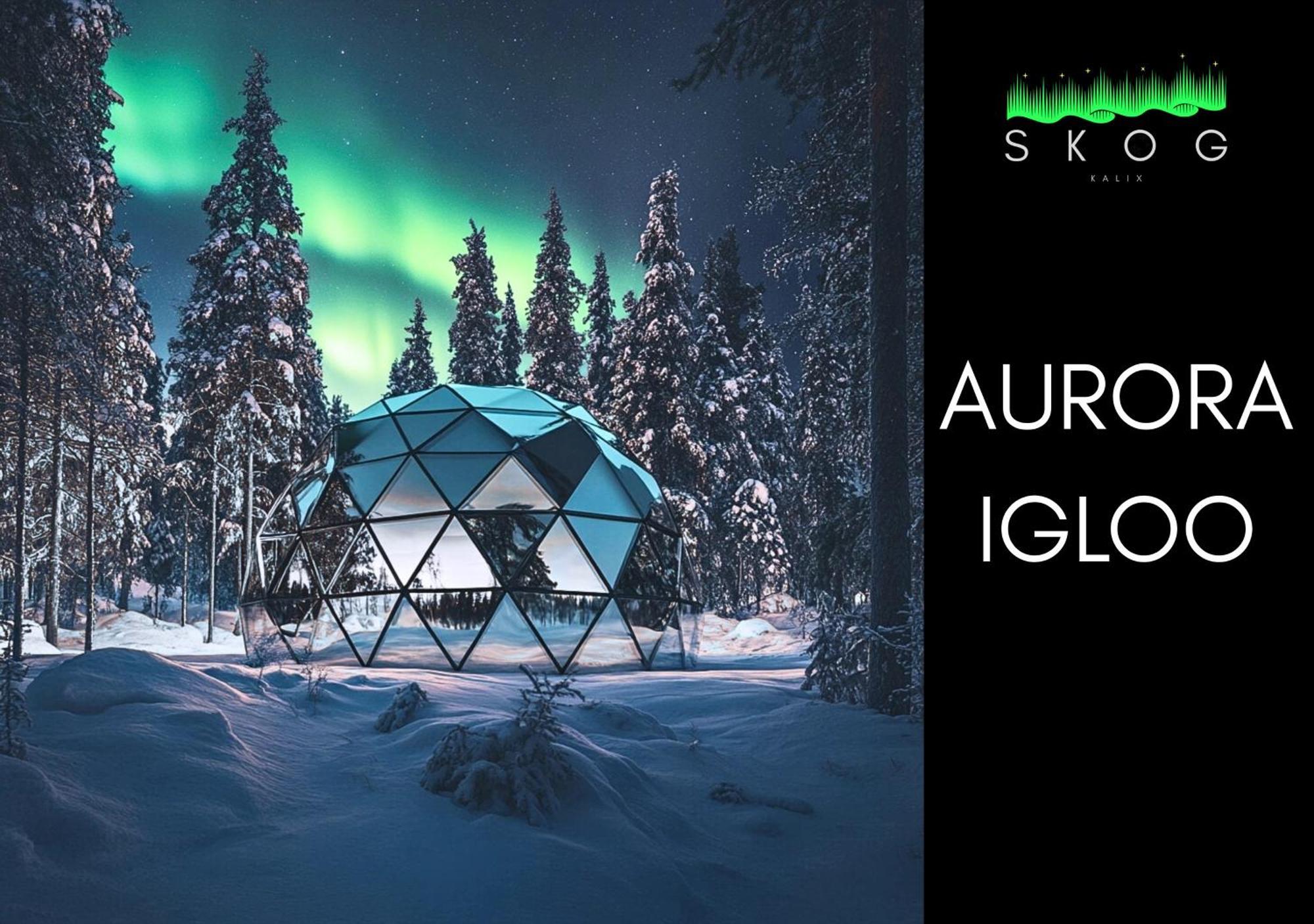 Skog Aurora Igloos Villa Kalix Luaran gambar