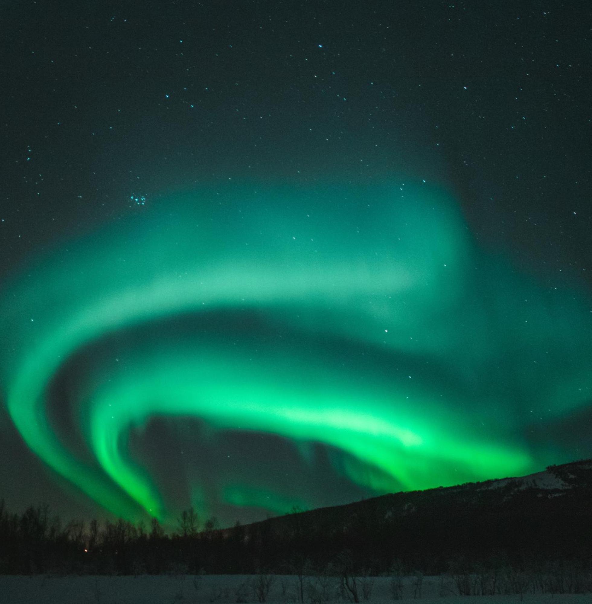 Skog Aurora Igloos Villa Kalix Luaran gambar