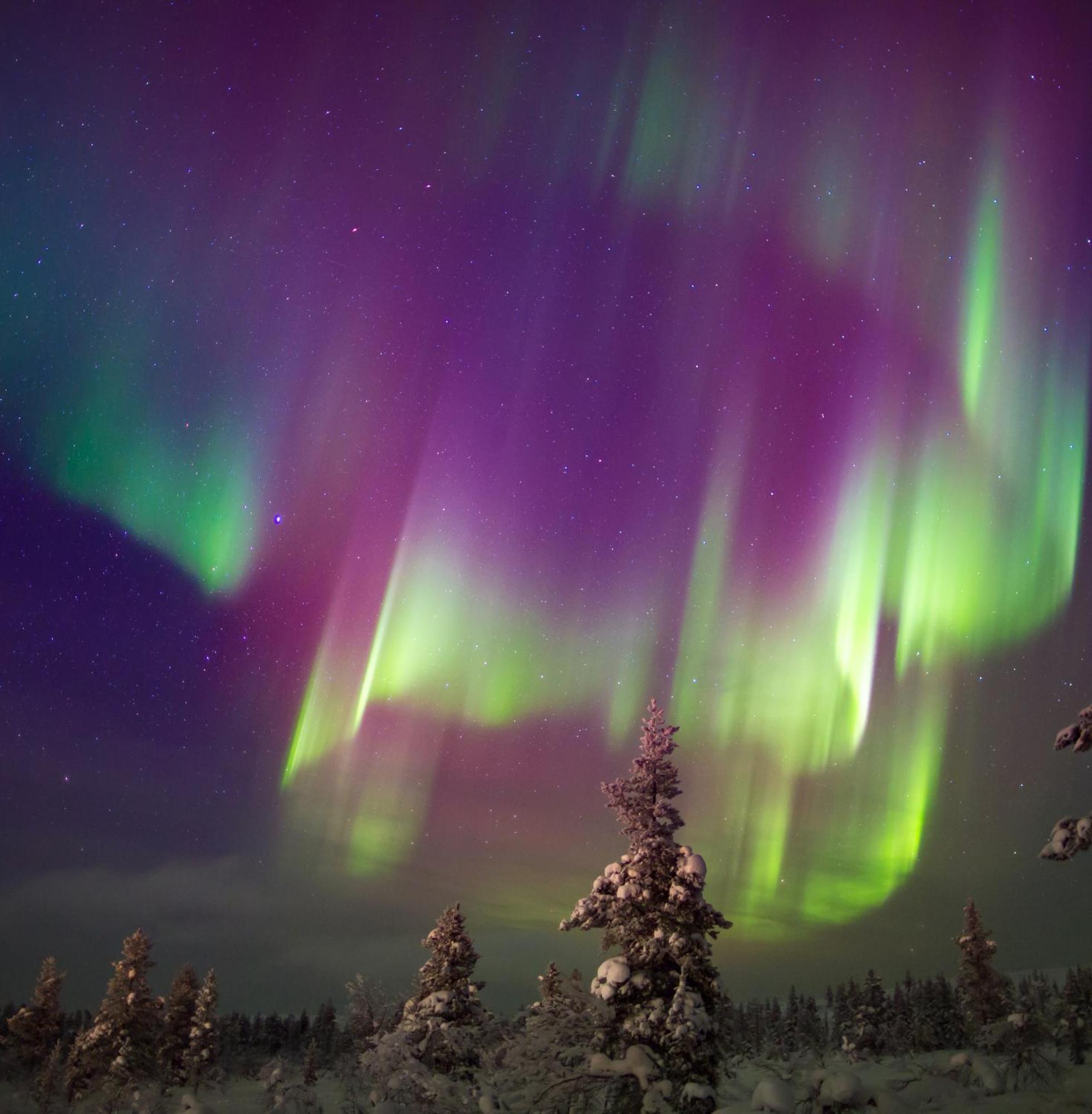 Skog Aurora Igloos Villa Kalix Luaran gambar