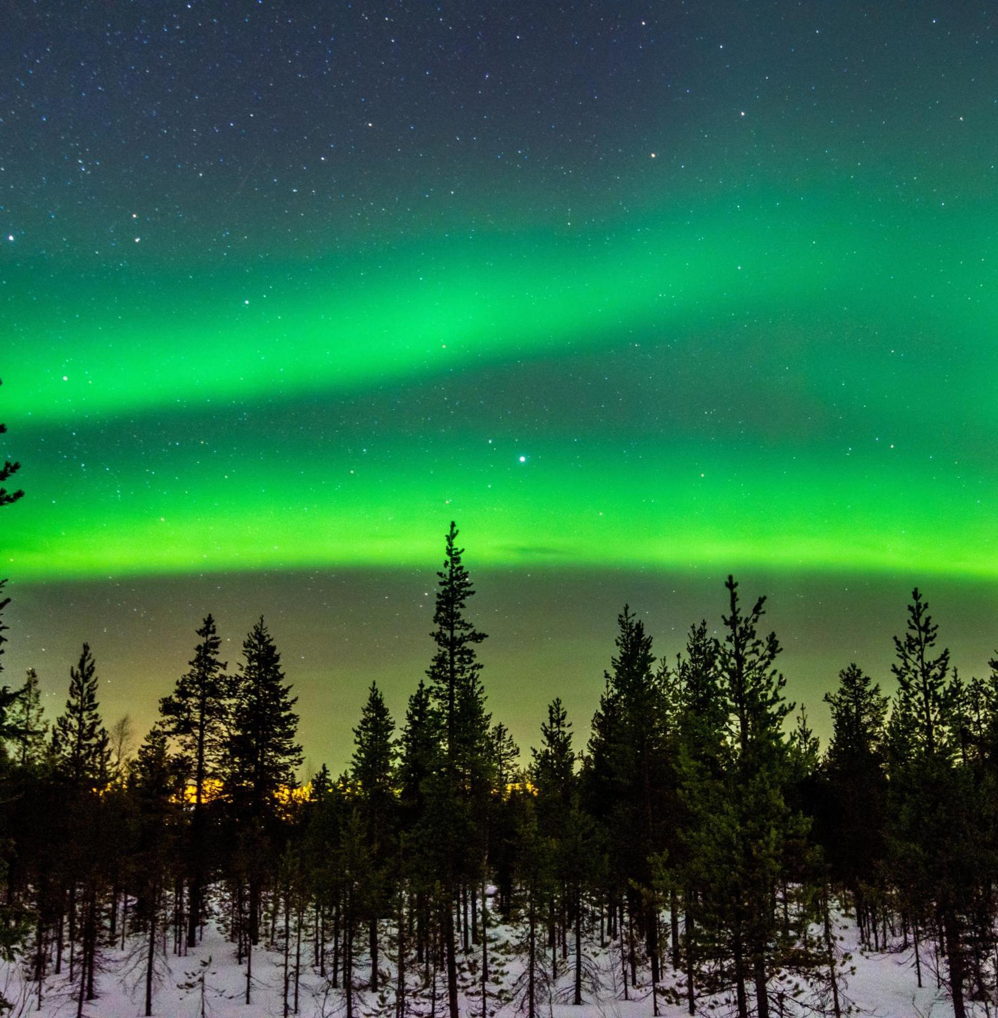 Skog Aurora Igloos Villa Kalix Luaran gambar