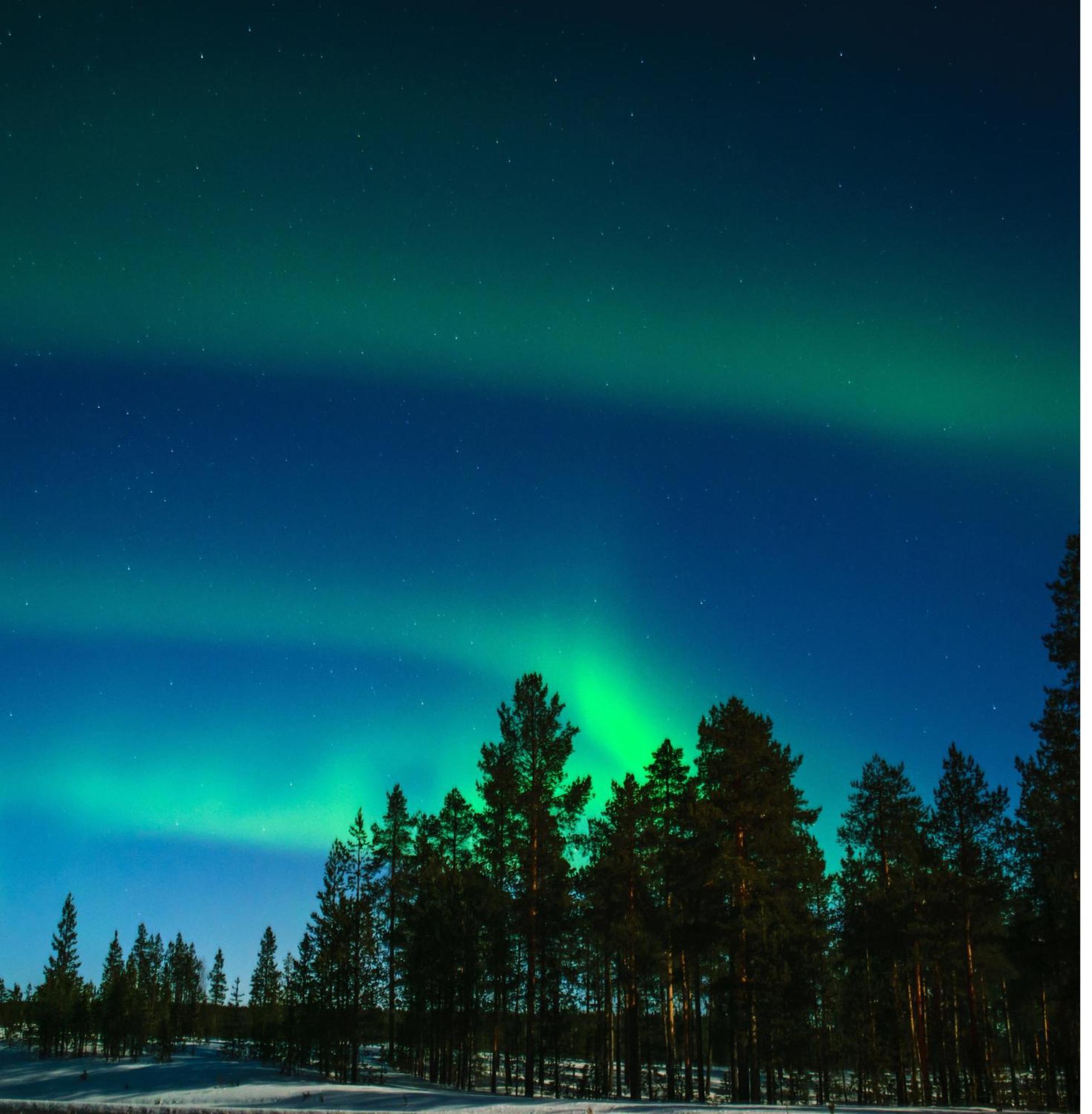 Skog Aurora Igloos Villa Kalix Luaran gambar