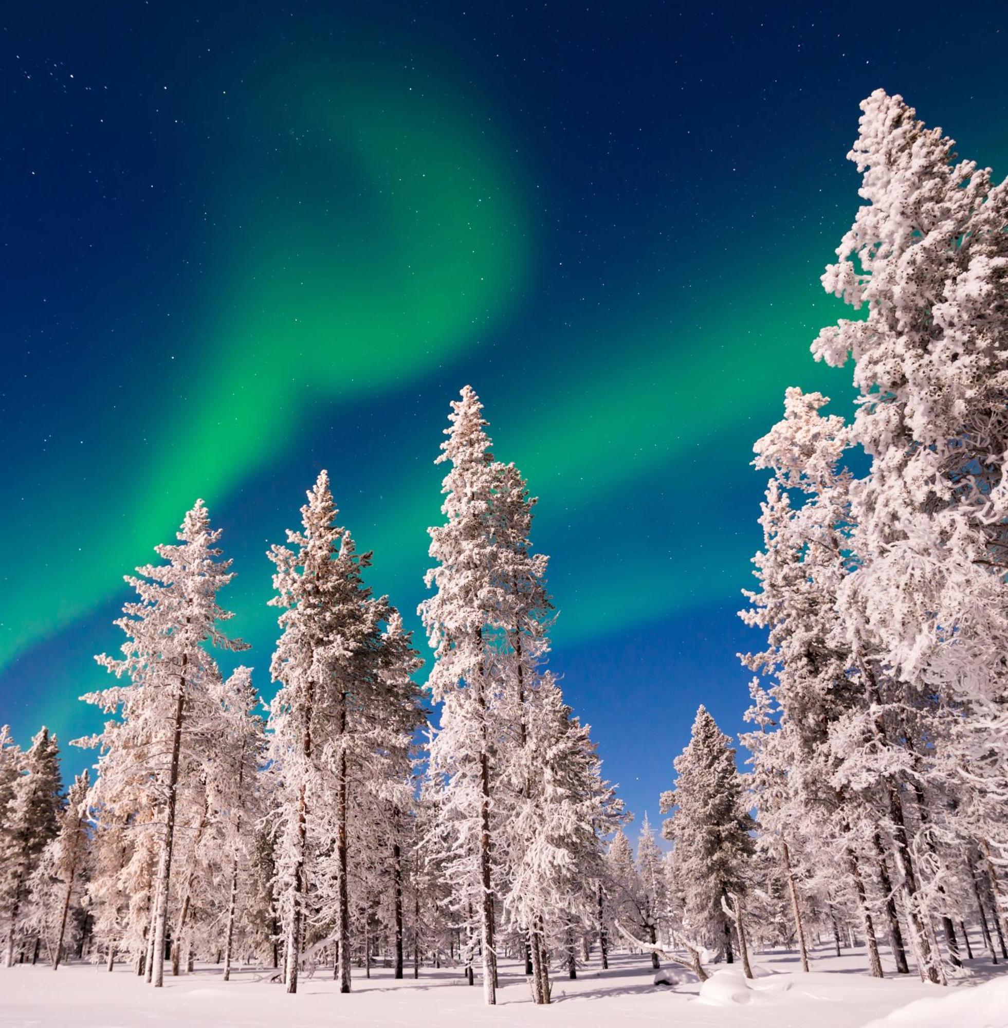 Skog Aurora Igloos Villa Kalix Luaran gambar
