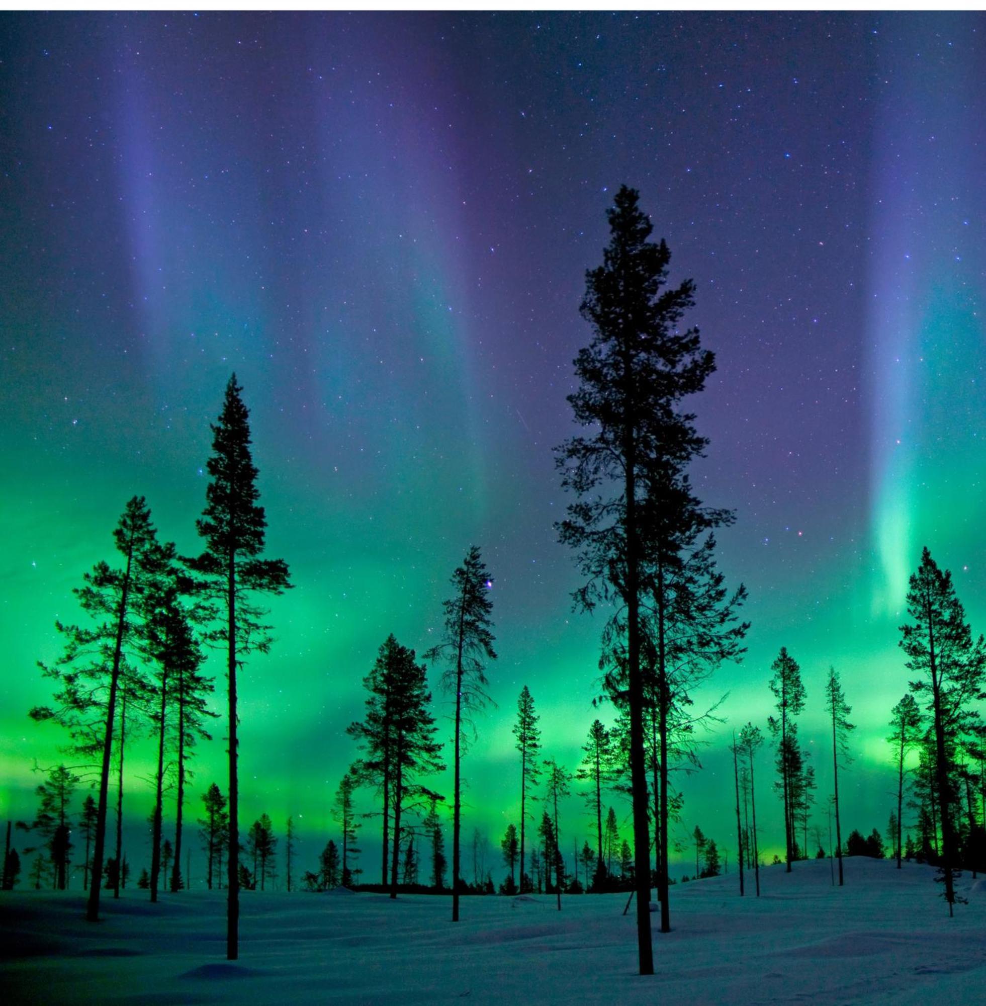 Skog Aurora Igloos Villa Kalix Luaran gambar