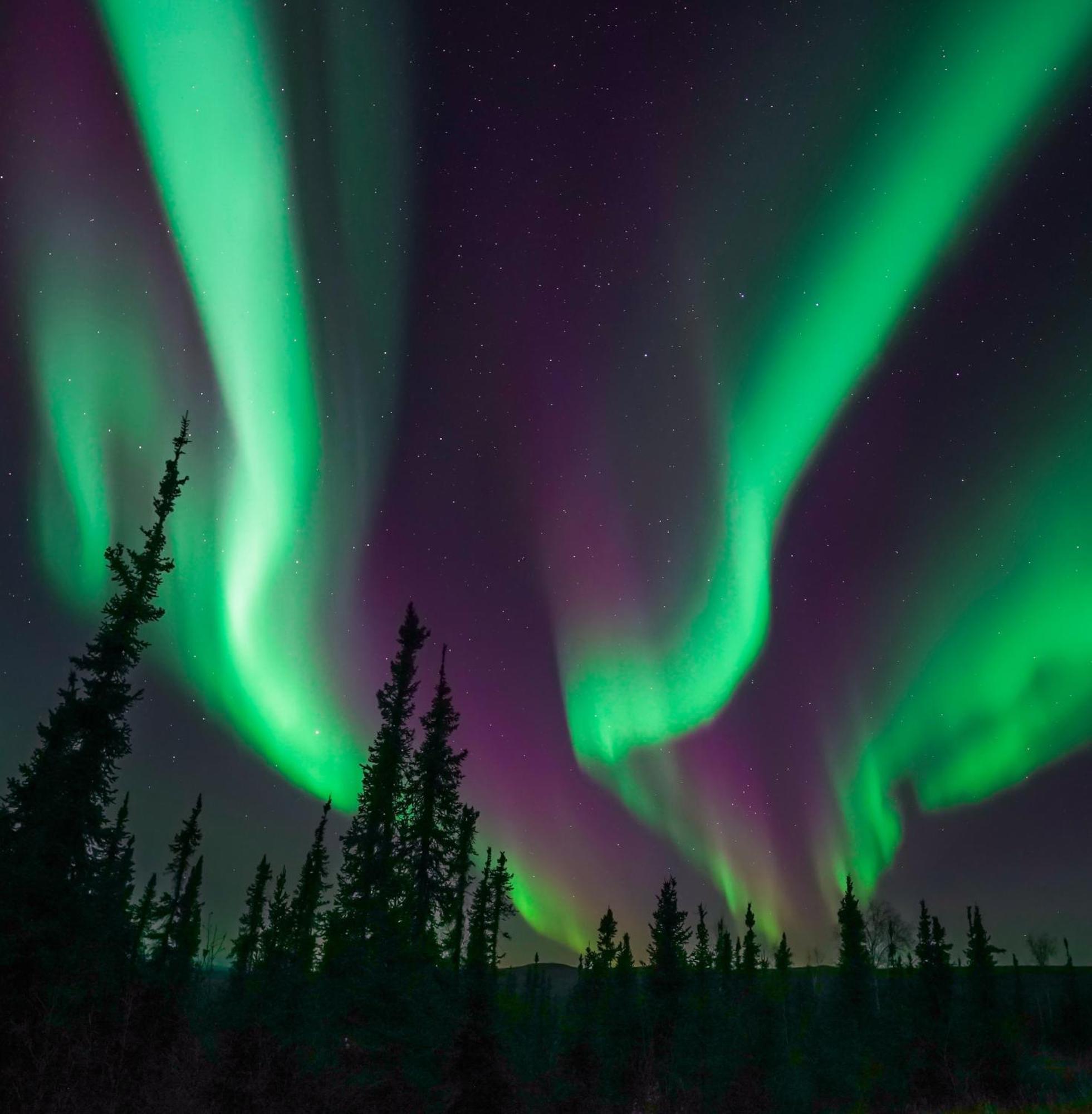 Skog Aurora Igloos Villa Kalix Luaran gambar
