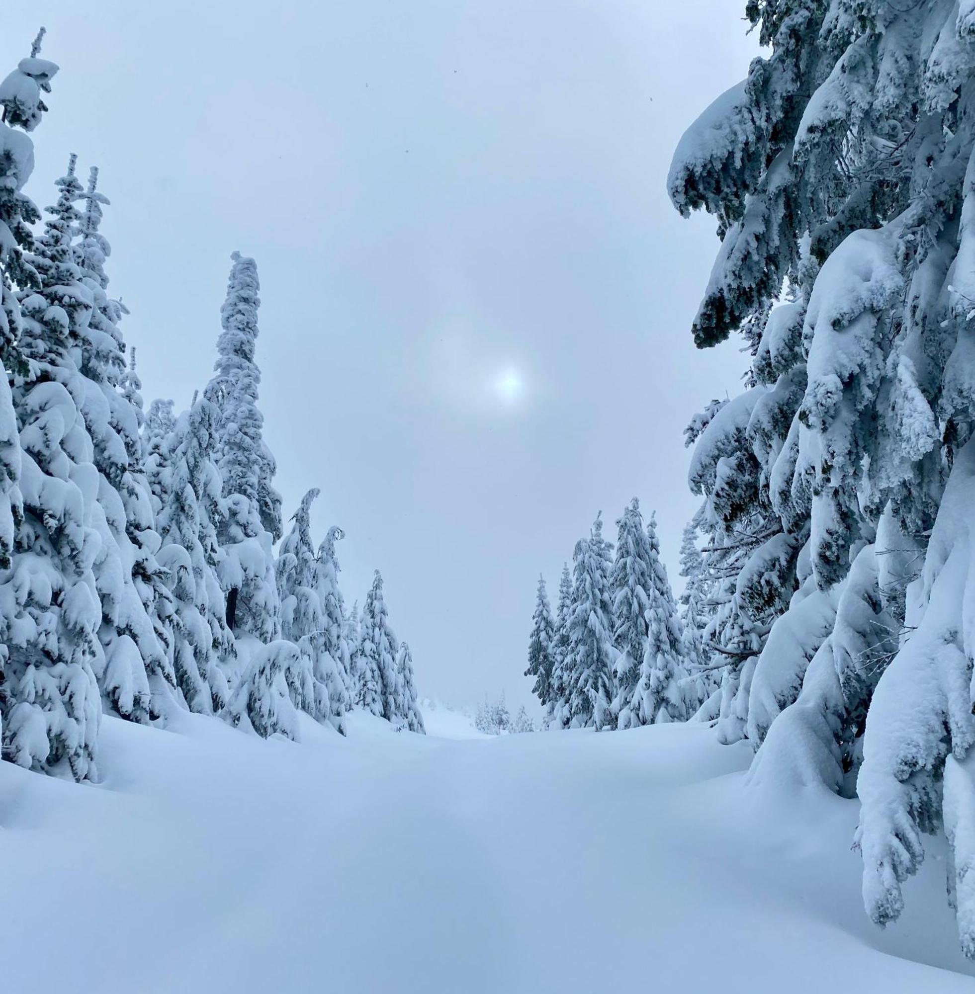 Skog Aurora Igloos Villa Kalix Luaran gambar