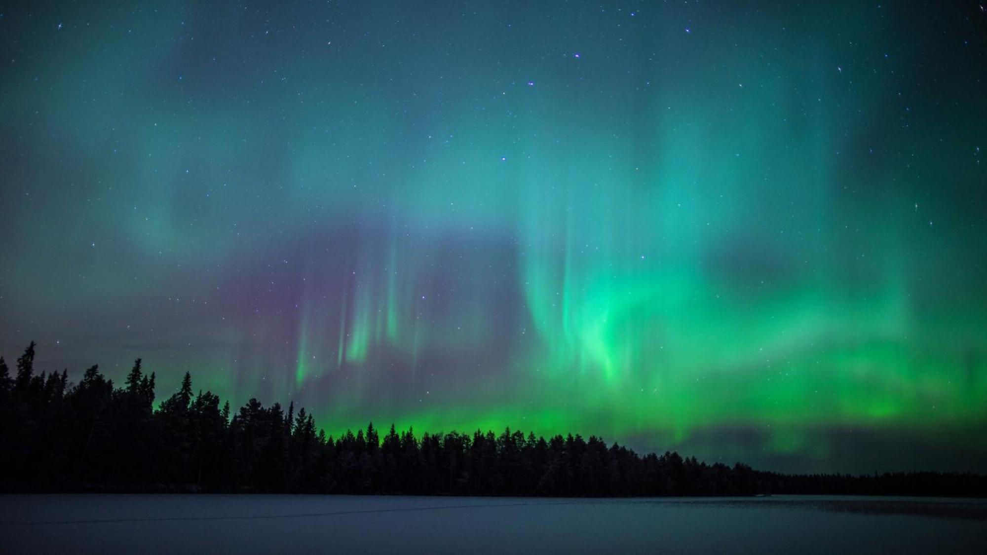 Skog Aurora Igloos Villa Kalix Luaran gambar
