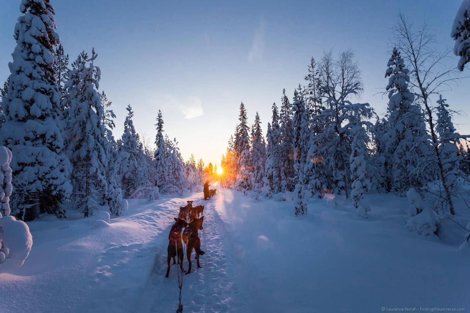 Skog Aurora Igloos Villa Kalix Luaran gambar