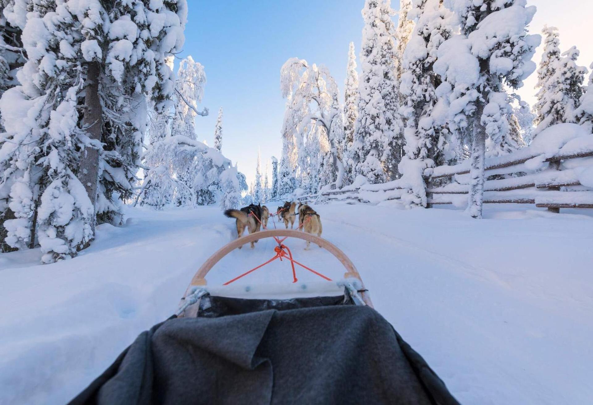 Skog Aurora Igloos Villa Kalix Luaran gambar