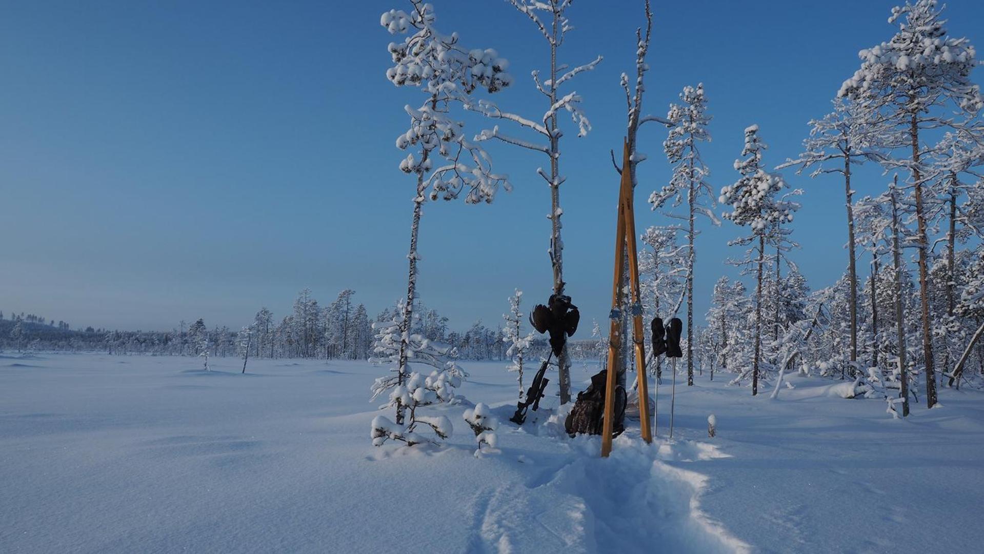 Skog Aurora Igloos Villa Kalix Luaran gambar